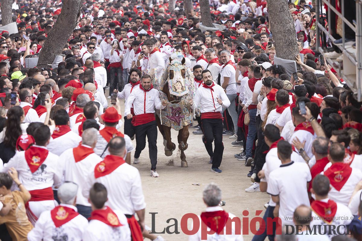 Así se ha vivido la carrera de Los Caballos del Vino en Caravaca