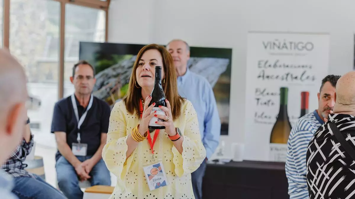Descorcha Canarias: un viaje a la esencia de nuestros vinos