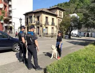La Policía de San Martín velará por que se recojan las cacas de los perros