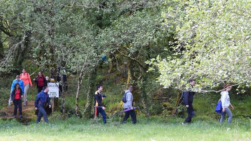 La belleza de Codeseda cautiva en la ruta de A Grela, que culmina con una comida