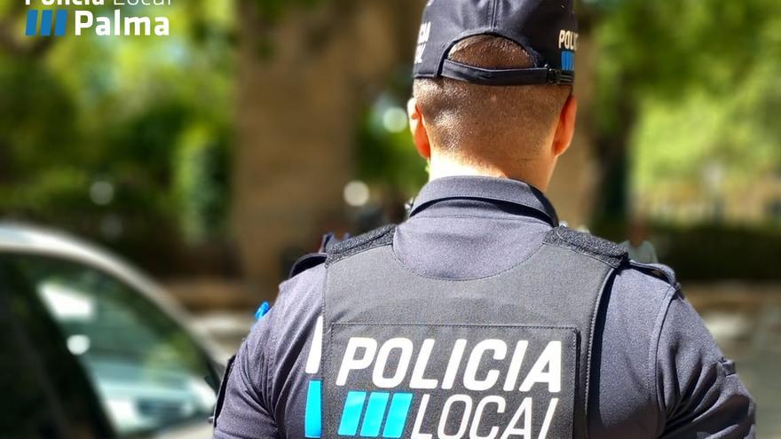 Dos detenidos por agredir a un menor para robarle la cartera y el móvil en Palma