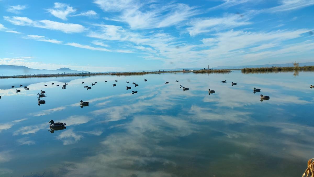 Reclamos utilizados en las tiradas del sábado ante la prohibición de utilizar los vivos.