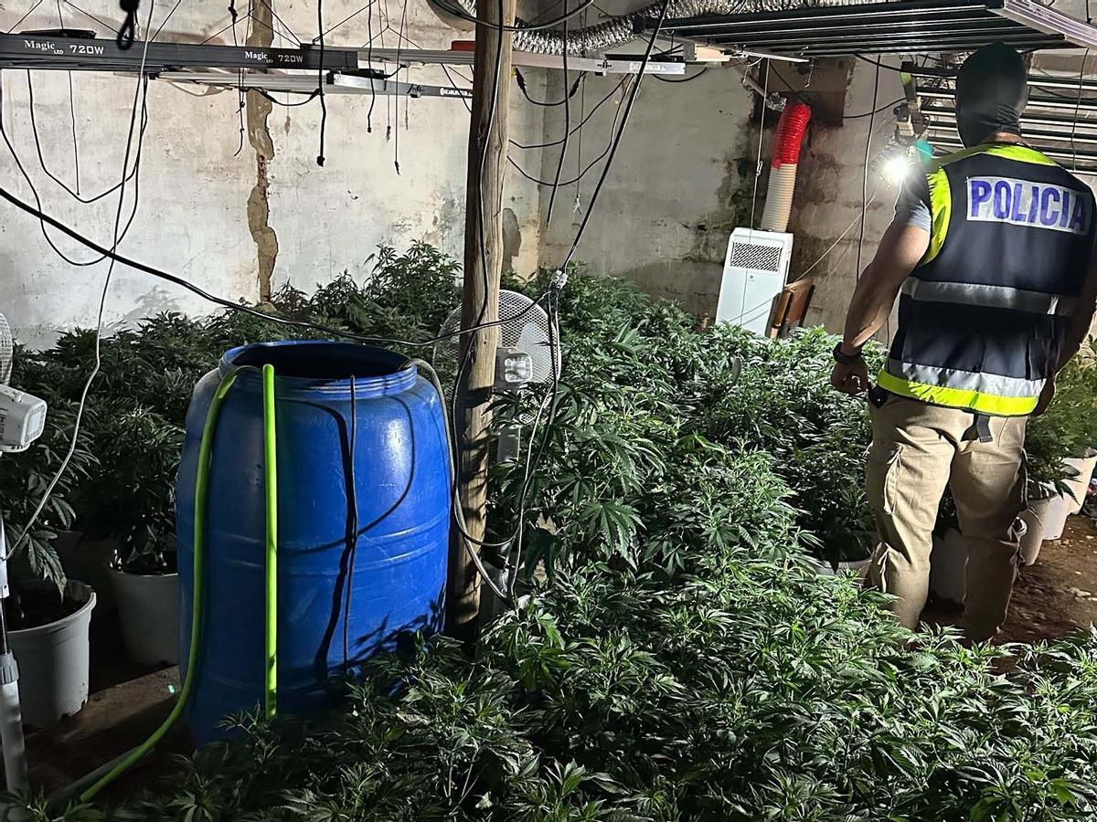Interior de la nave de Mérida donde la Policía Nacional ha intervenido 155 plantas de marihuana.