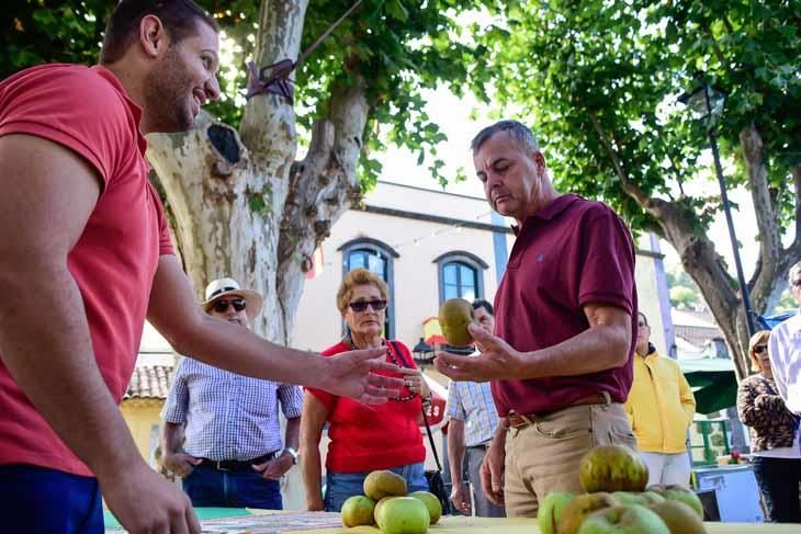 Fiesta de la manzana de Valleseco