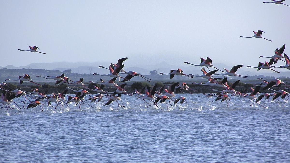 Parque Natural de las Salinas.