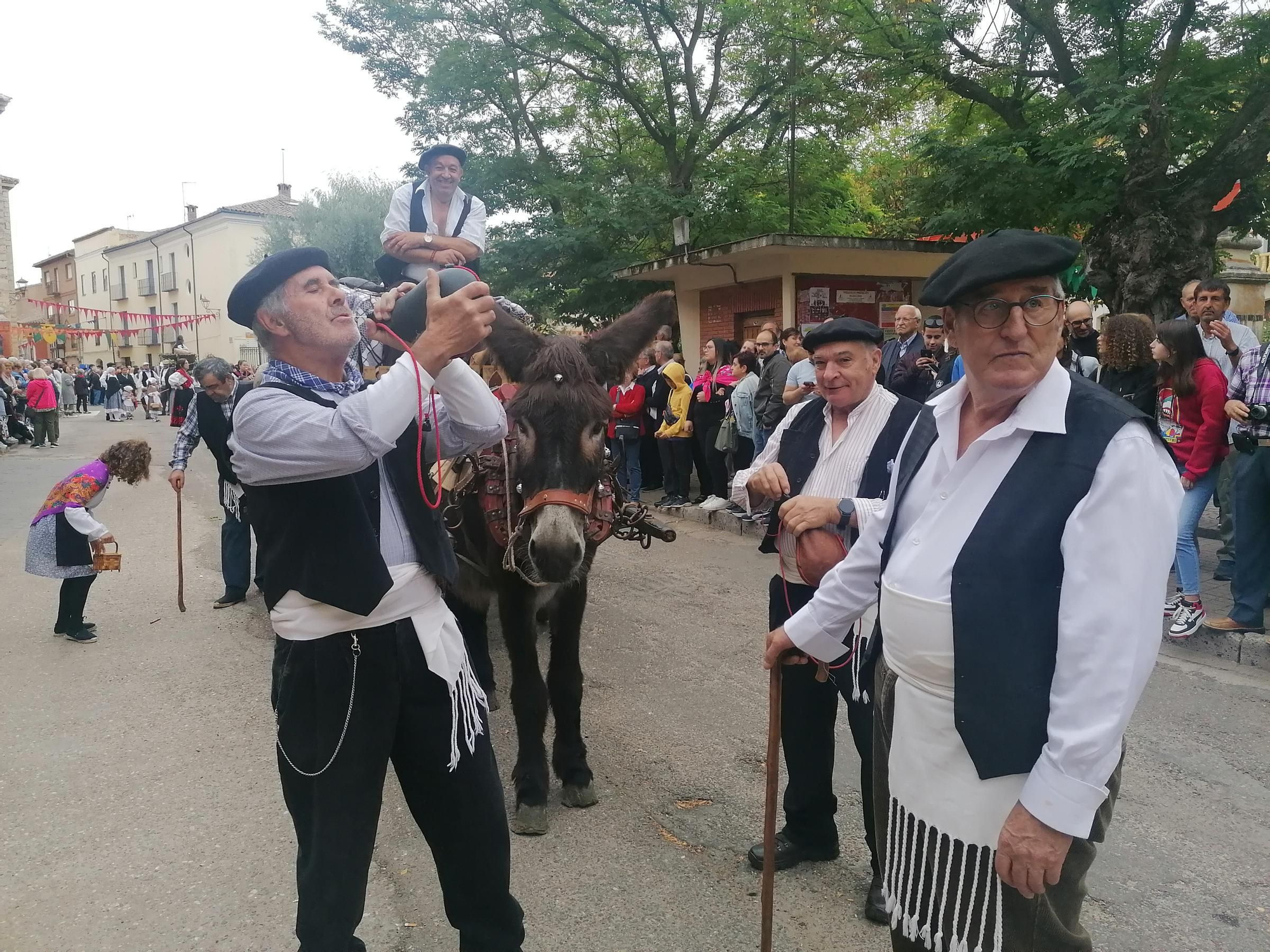 GALERÍA | Toro recrea la vendimia tradicional en el desfile de carros