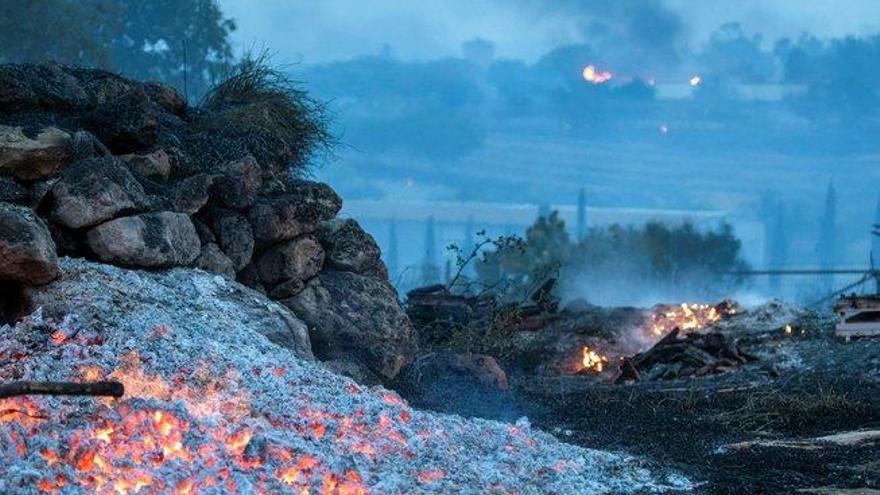 Un incendio forestal en Israel provoca miles de evacuados