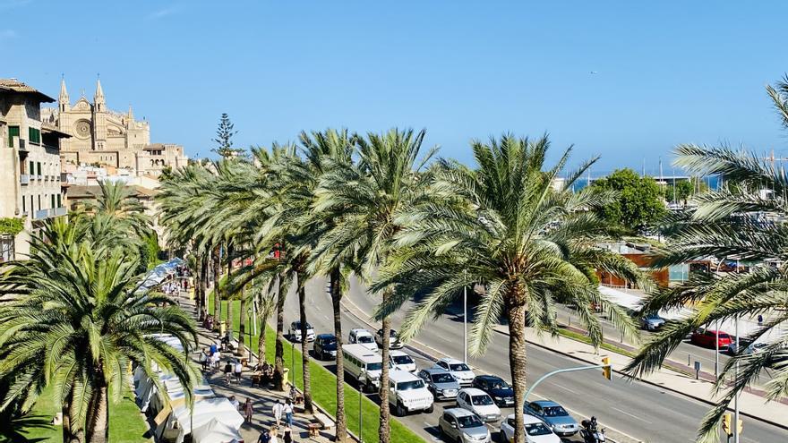 Wetter auf Mallorca: Die nächste Hitzewarnung steht vor der Tür