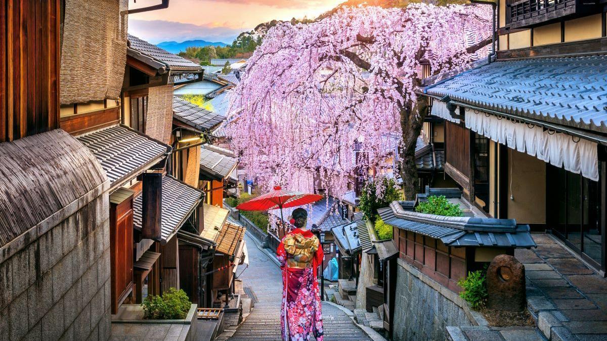 El 'hanami' es la celebració japonesa al voltant de la floració dels cirerers