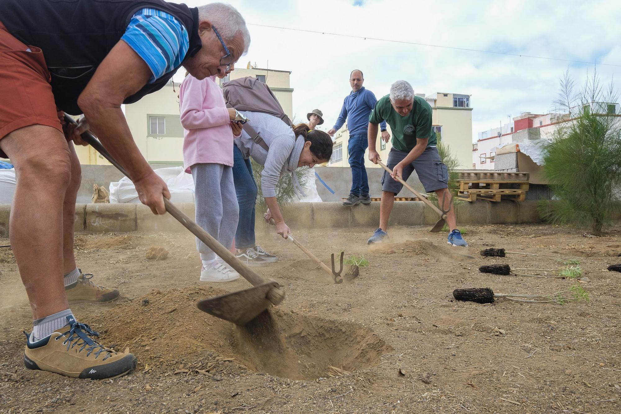 Actividades por el Día de La Isleta