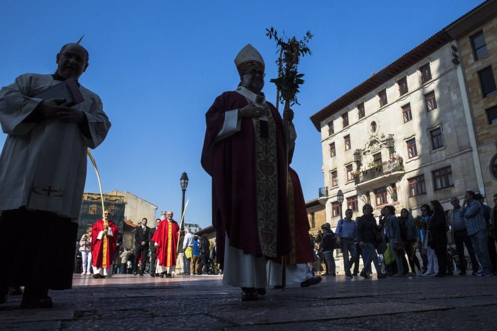 Bendición de ramos en la plaza de la Catedral