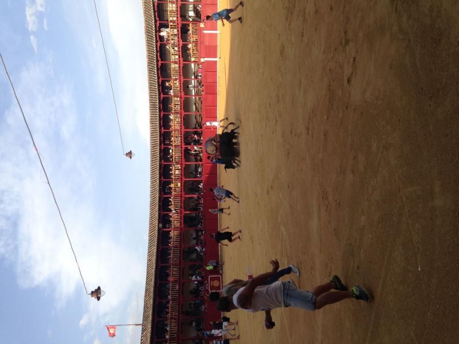 Fiestas Toro- concurso de jóvenes cortadores