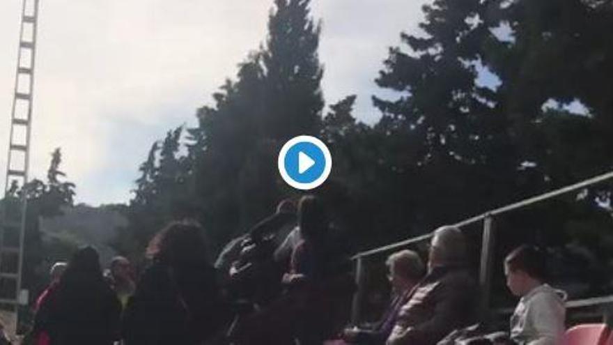 Pelea de padres en un partido de fútbol infantil en Murcia