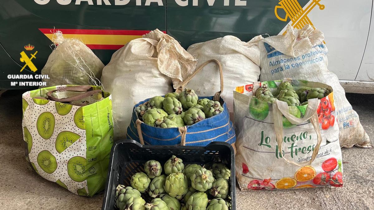 Algunas de las alcachofas que fueron recuperadas por los agentes.