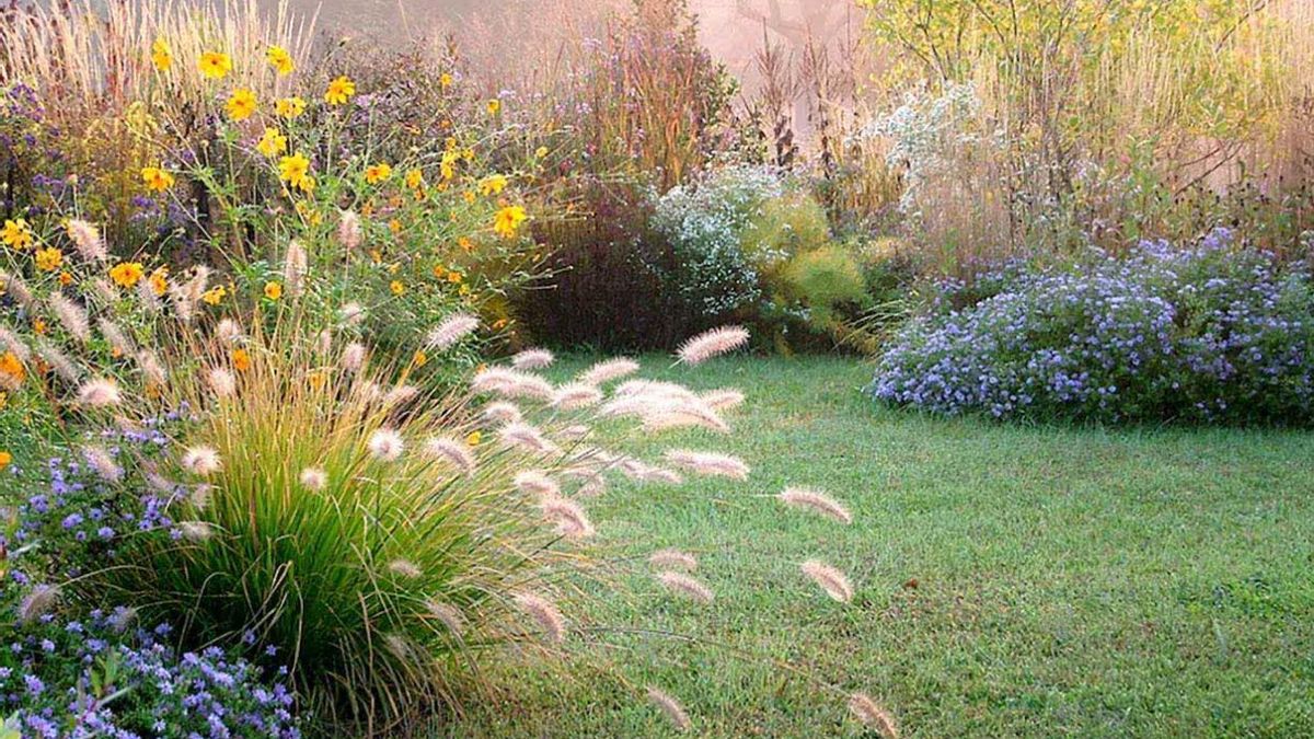 Plantas del grupo de las gramíneas