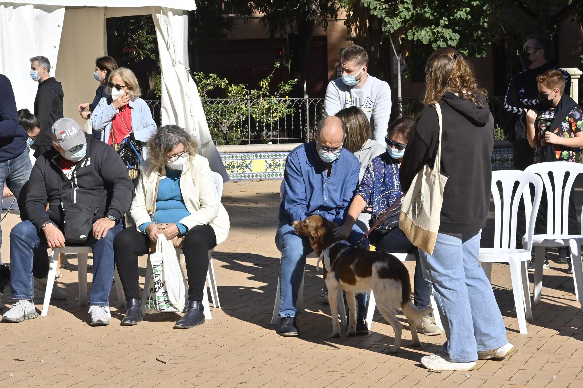 Primera jornada del VI Festival de la Adopción de Castelló