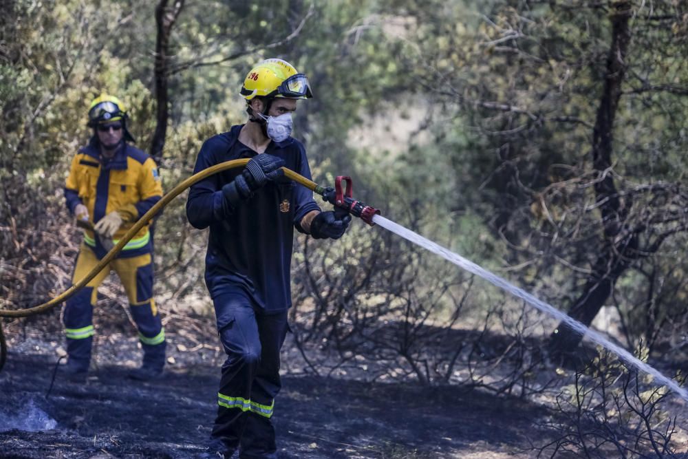 Incendio en el bosque de Bellver