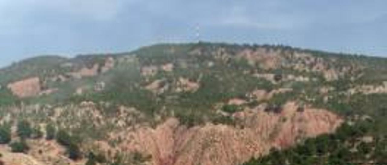 El monte Cabezo de la Sal de Pinoso.