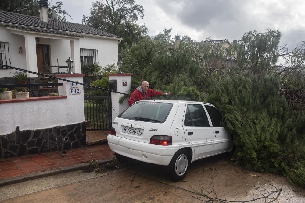 Destrosses a Riells i Viabrea per un tornado