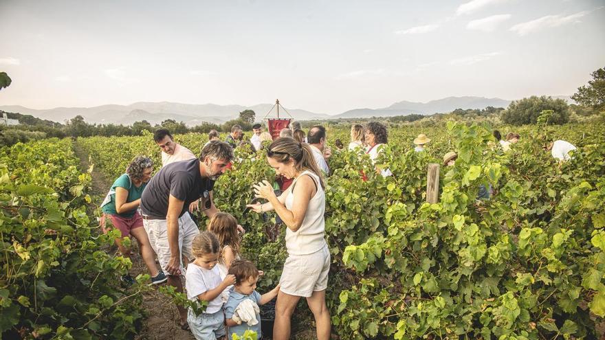 Festa de la Verema a Sant Climent Sescebes amb premsada del nou most i tast de vins
