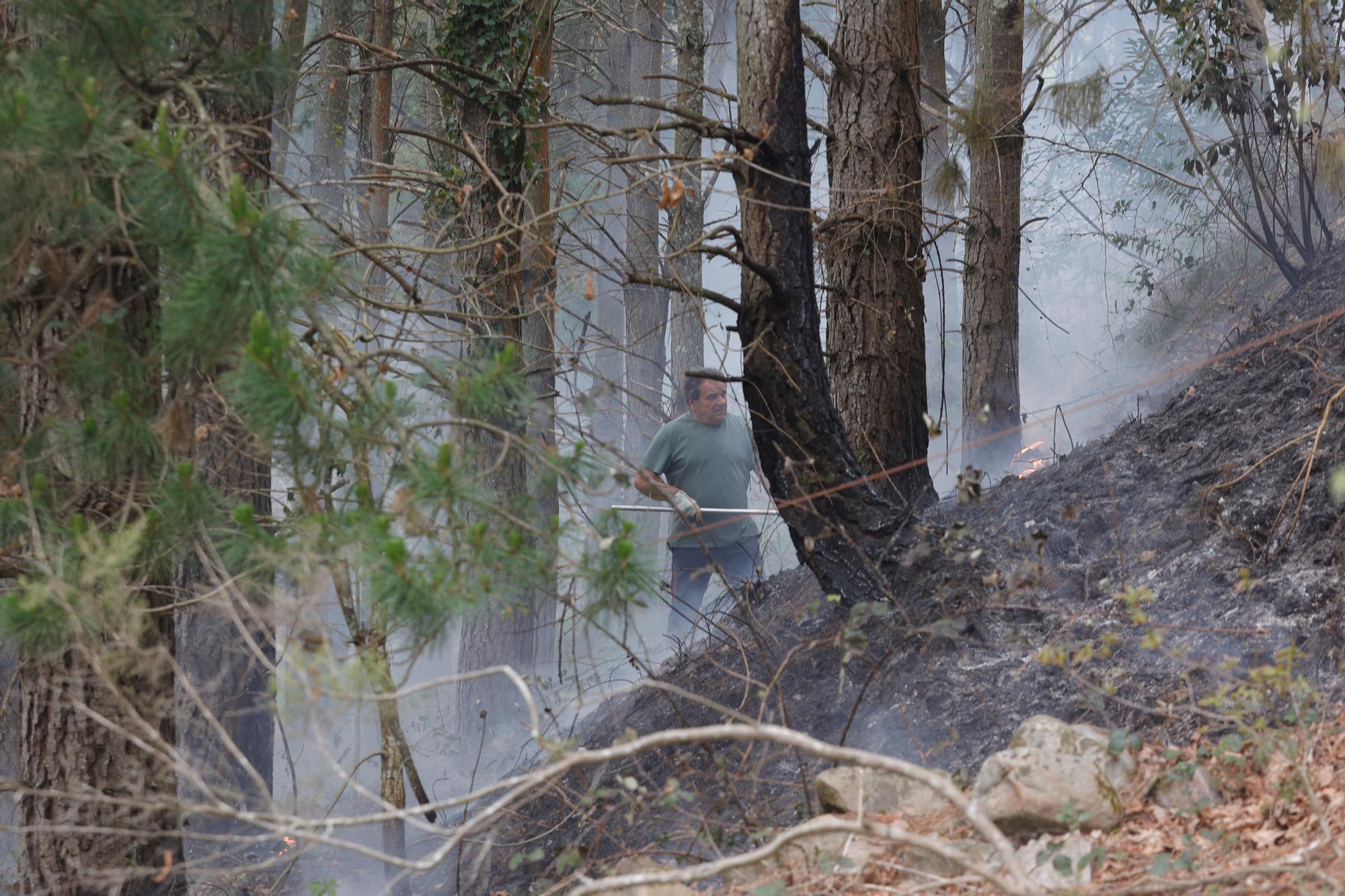 Dura lucha contra los incendios de Tineo y Valdés