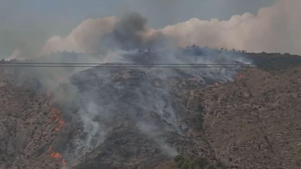 Declarado un incendio forestal en la zona montañosa de Puça de Petrer.
