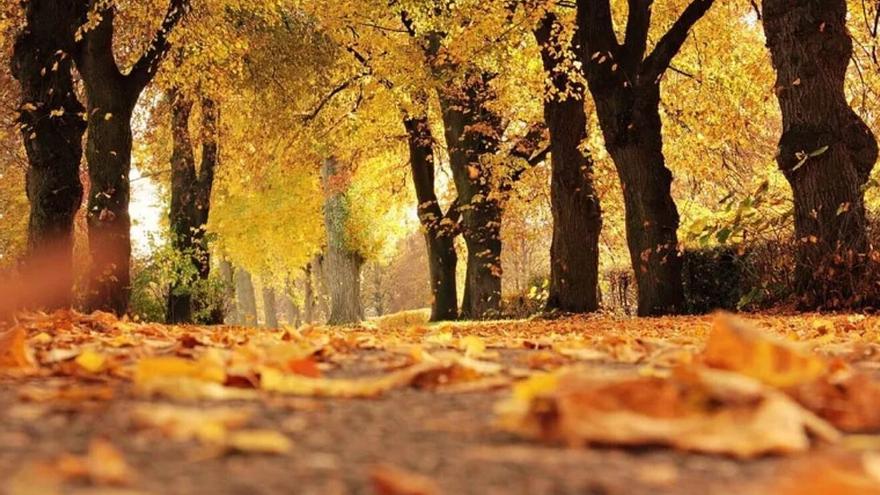 Equinoccio de otoño: Qué es, cuándo ocurre y qué rituales debes llevar a cabo