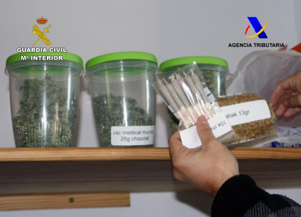 Seis detenidos por cultivar marihuana a gran escala para su venta en Holanda