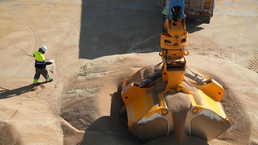 Trigo, arroz, cebada o avena: el Puerto de Sevilla lidera la exportación de cereales con el 43% del total nacional