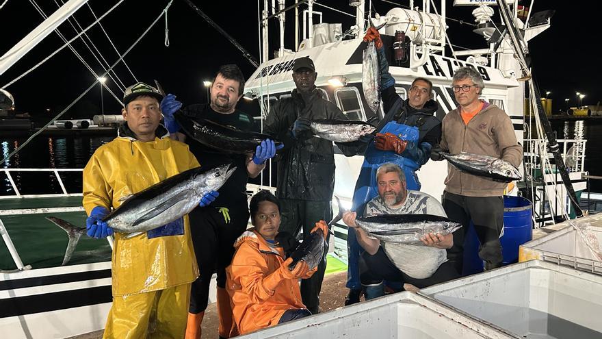 Descarga de 2.300 kilos en Avilés: el bonito del norte se aproxima al Cantábrico, pero nada bajo delfines