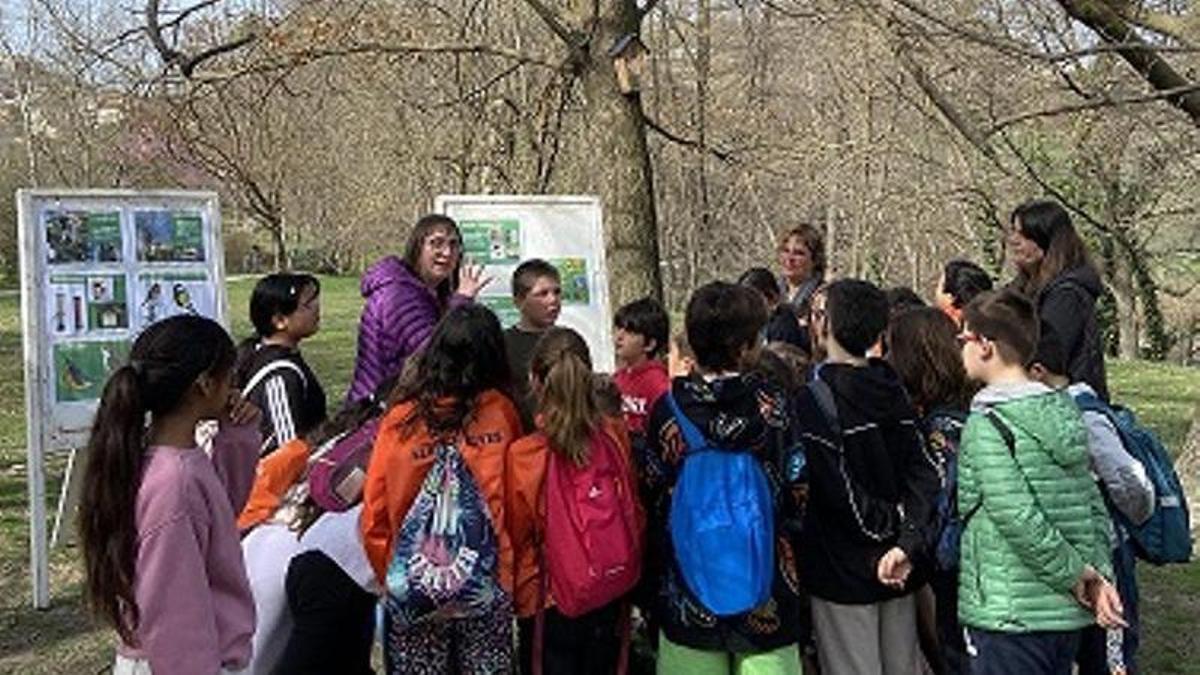 Més de 150 alumnes celebren el Dia Mundial de l’Arbre a la Seu d’Urgell