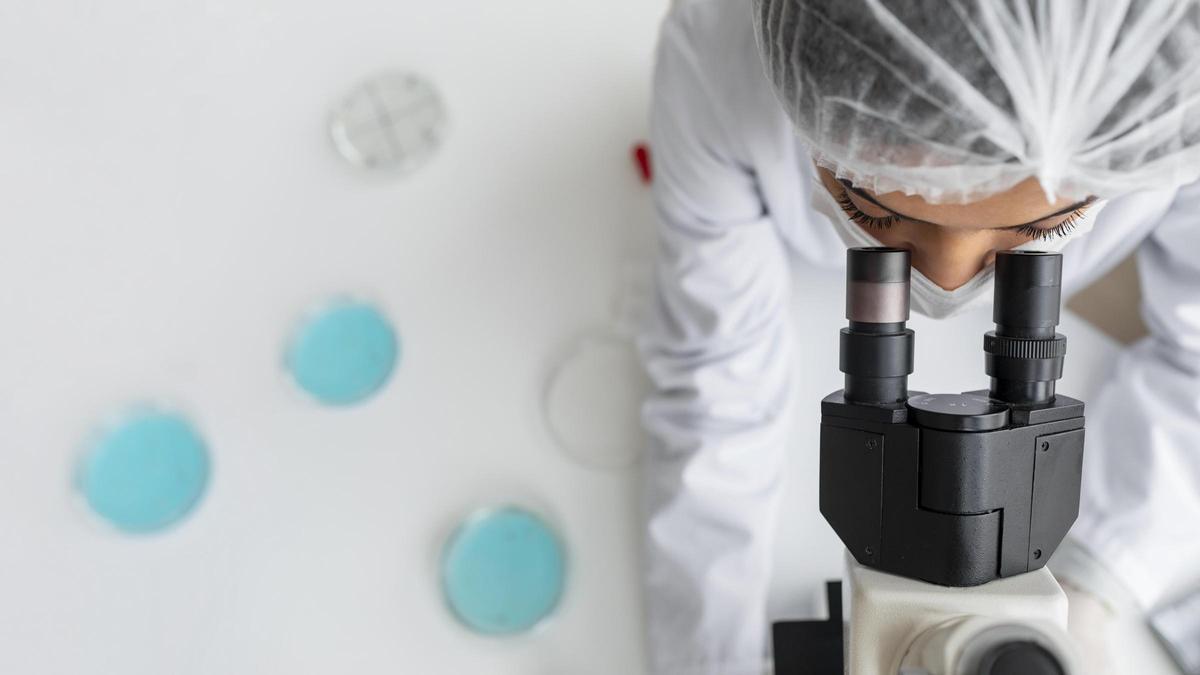 En 2024 el sector sanitario privado ha experimentado un incremento en el número de centros dedicados a la actividad investigadora.