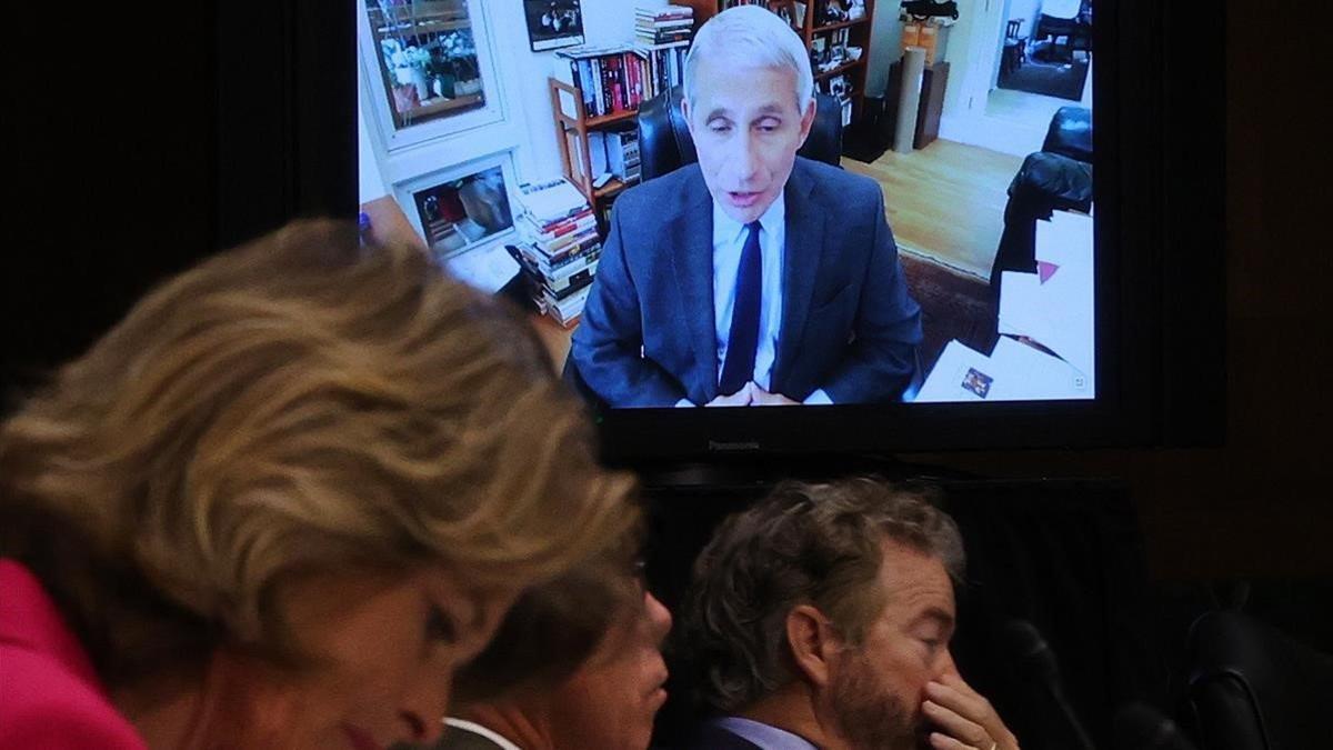 El doctor Anthony Fauci interviene por videoconferencia, este martes en el Senado de EEUU.