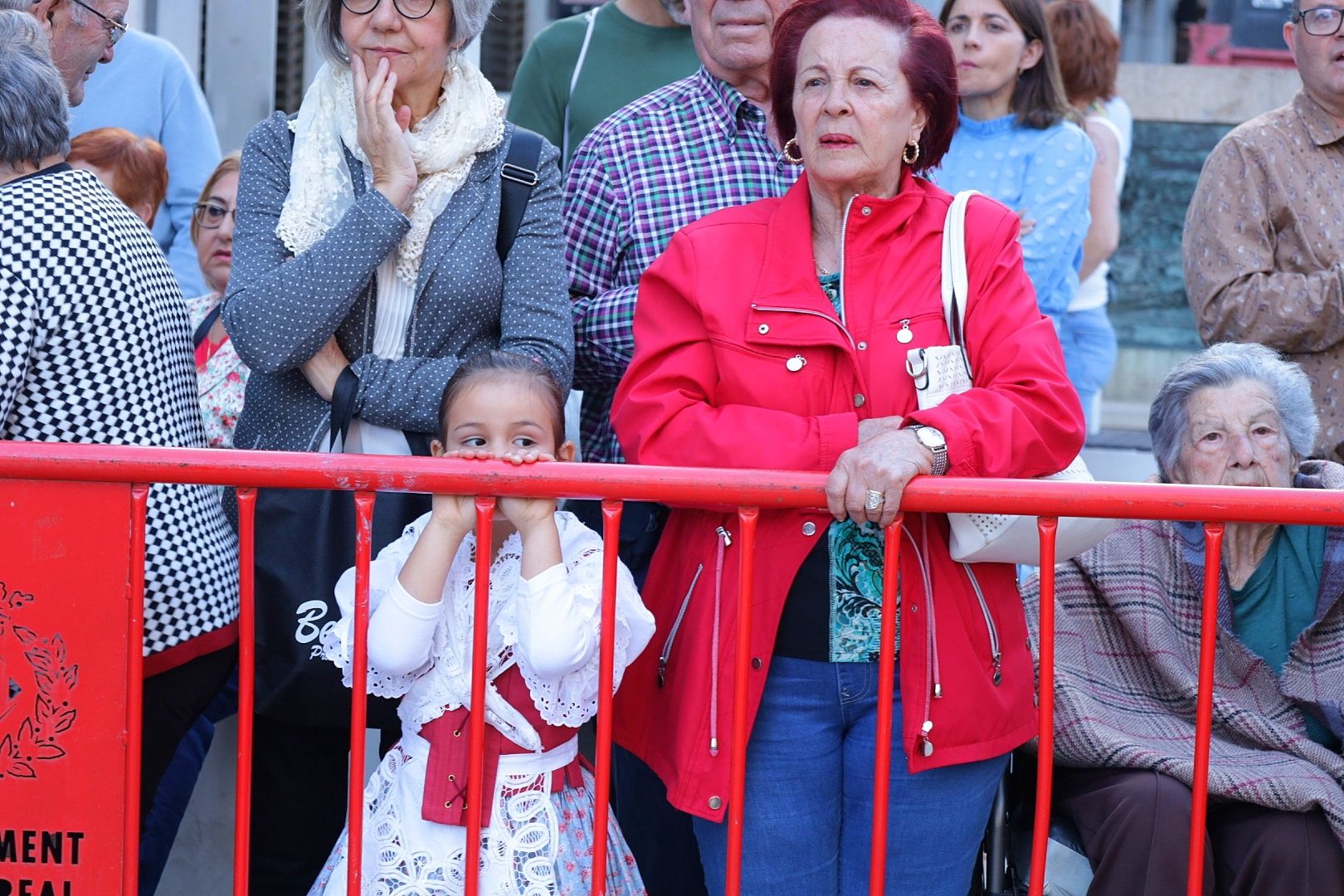 Galería de fotos de la ofrenda a Sant Pasqual en las fiestas de Vila-real