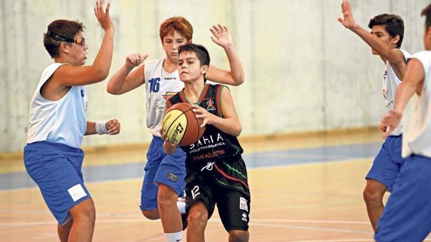 Vereinssport auf Mallorca, Teil drei: Basketball - Mallorca Zeitung
