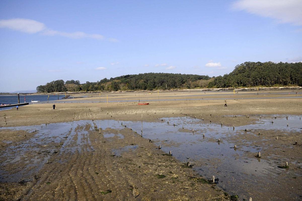 Vista de los parques de cultivo de Carril con marea baja.