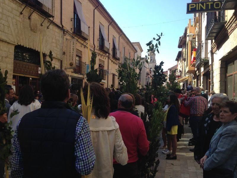 Semana Santa en Toro: La Borriquita