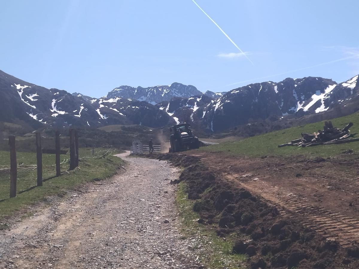 En imágenes: Reposición de cierres en Valle de Lago (Somiedo) tras el rodaje de Los juegos del hambre