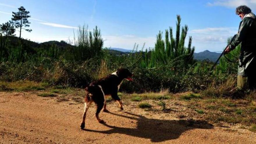 Un cazador, con su perro en el monte de Xiabre.  // Iñaki Abella