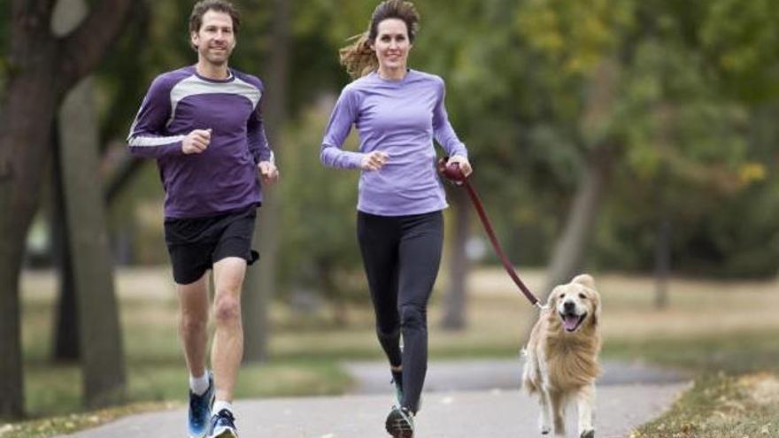 Running con perros: consejos para disfrutar del canicross