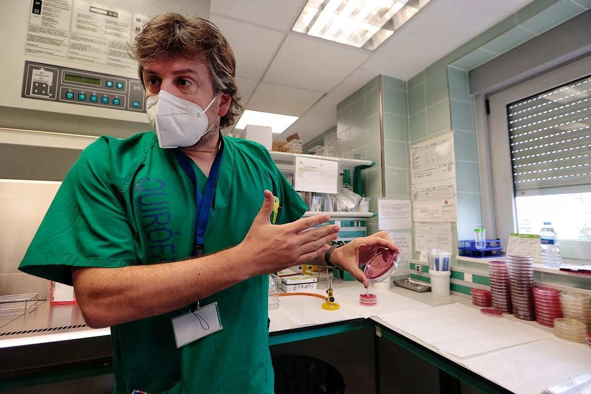 El microbiólogo Diego García muestra varios cultivos de bacterias multirresistentes en Tenerife