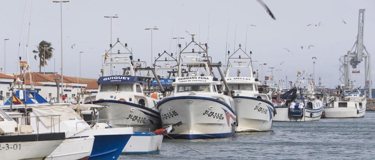 El puerto pesquero de Castelló se afianza como el más importante de la C. Valenciana