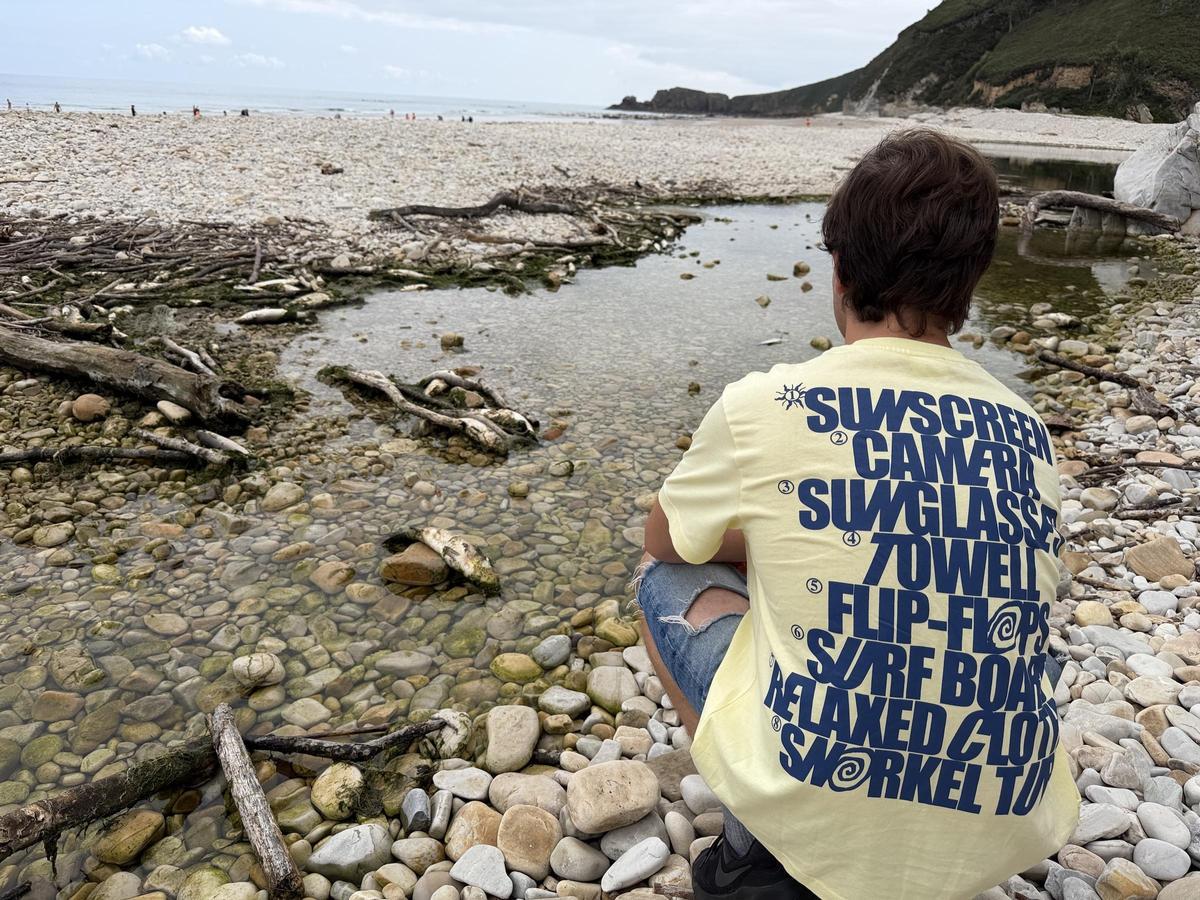 Aparecen cientos de peces muertos en una playa de Llanes