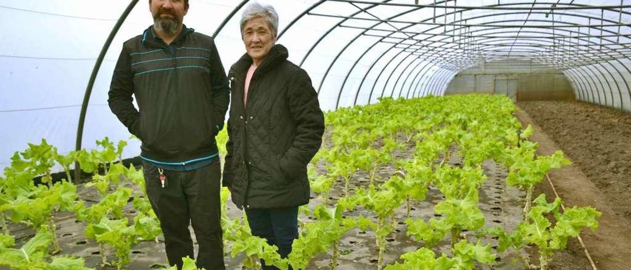 María Begoña Jayo y su hijo Juan José Rielo Jayo, en la plantación de berza que tienen en El Pidal (Villaviciosa).