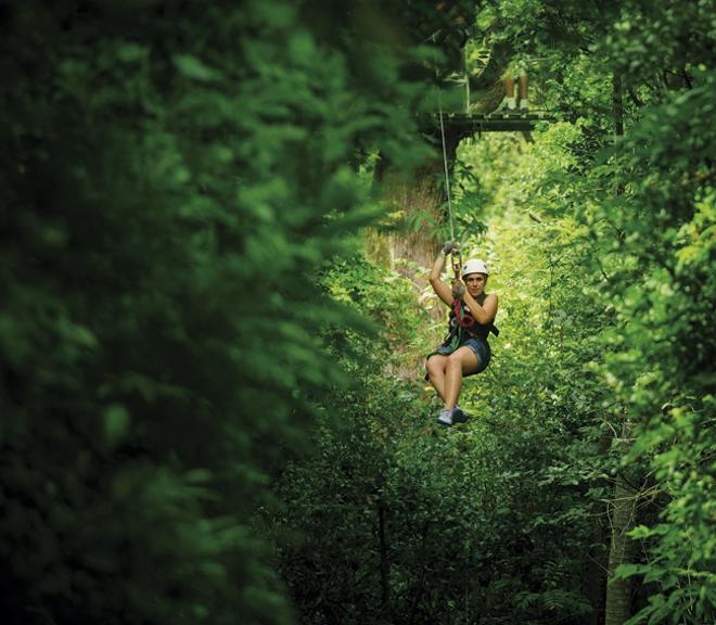 Canopy Adventure Tour en Costa Rica