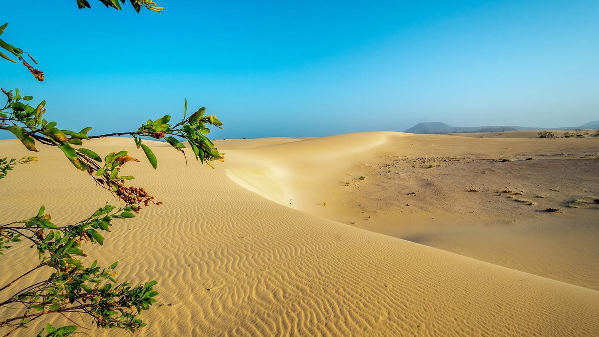 Las Dunas de Corralejo.