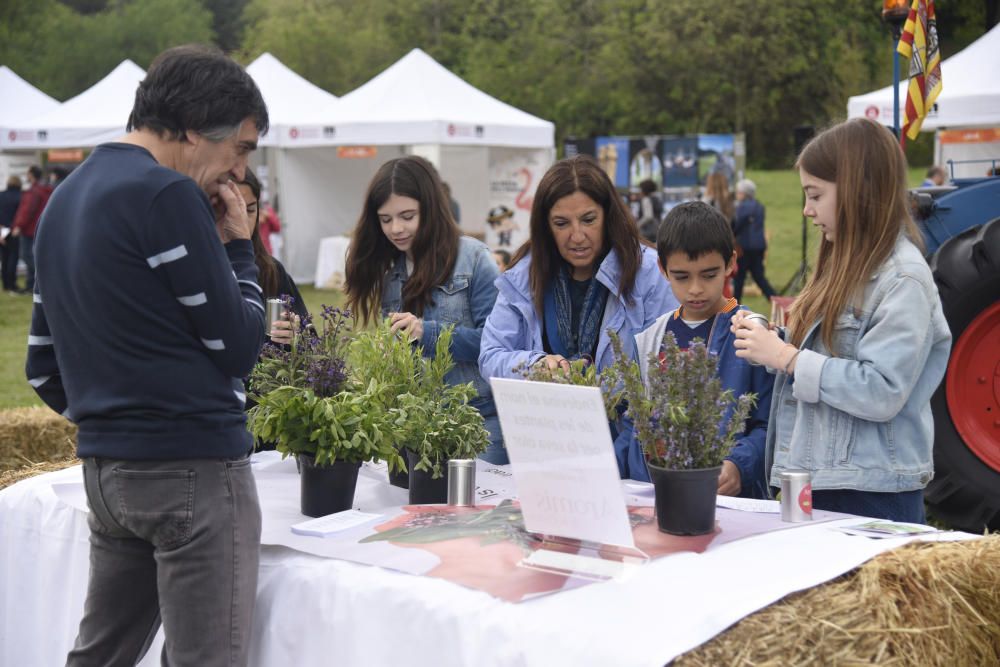 Festa de la Gastronomia Alicia't a Sant Fruitós de Bages