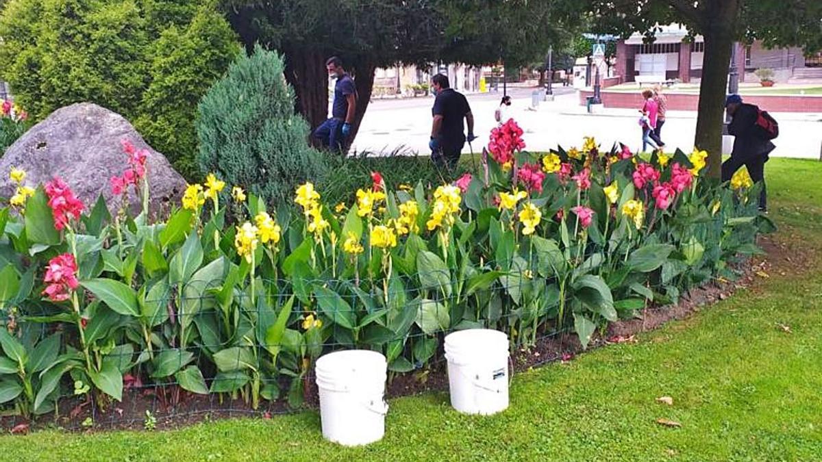 Llamaquique celebra la rápida actuación contra la plaga de ratas | LNE