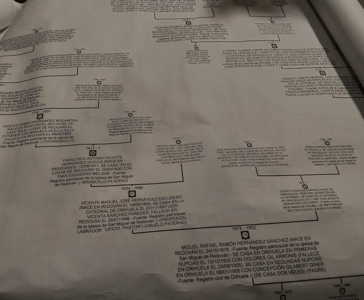 Family tree detail