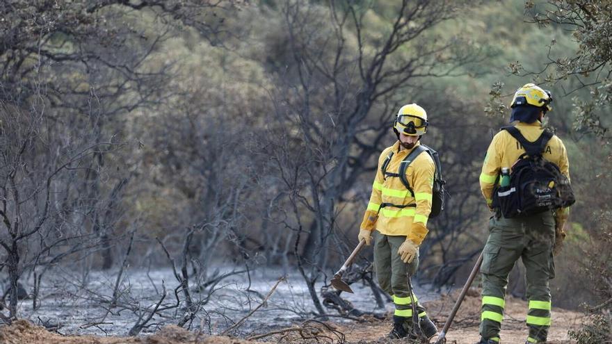 La brecha contra los incendios forestales en Córdoba: 29 municipios en zona de peligro no tienen un plan homologado